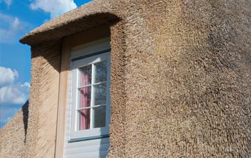 Blannicombe thatch roof disadvantages